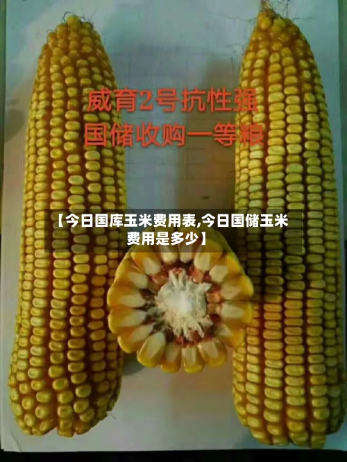 【今日国库玉米费用表,今日国储玉米费用是多少】