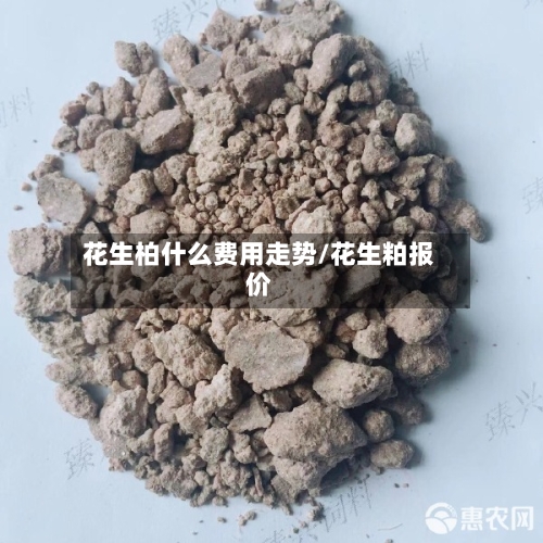 花生柏什么费用走势/花生粕报价
