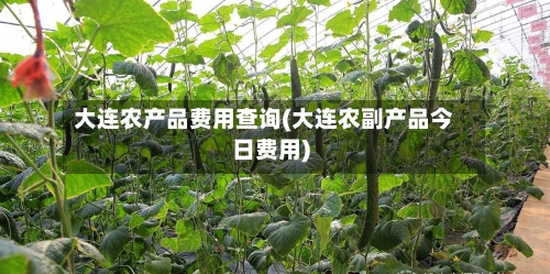 大连农产品费用查询(大连农副产品今日费用)-第2张图片
