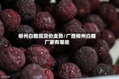 柳州白糖现货价走势/广西柳州白糖厂家有哪些