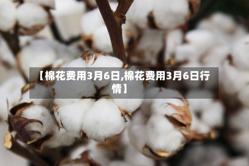 【棉花费用3月6日,棉花费用3月6日行情】