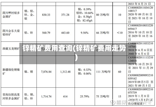 锌精矿费用查询(锌精矿费用走势)