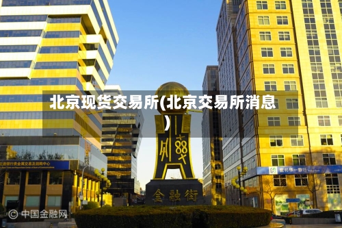 北京现货交易所(北京交易所消息)-第3张图片