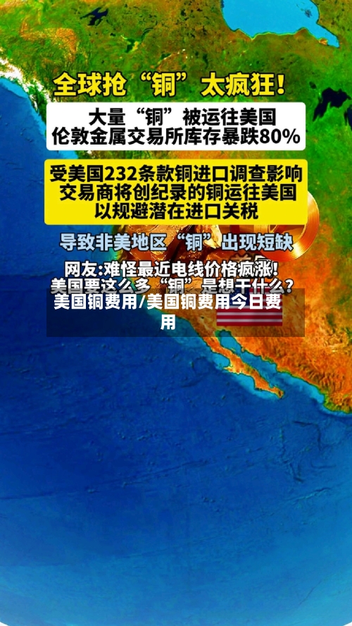 美国铜费用/美国铜费用今日费用-第3张图片