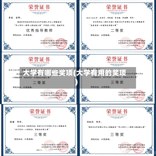 大学有哪些奖项(大学有用的奖项)