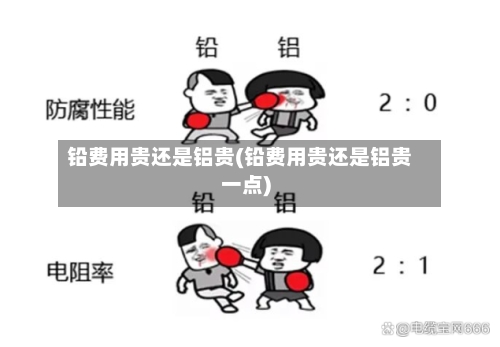 铅费用贵还是铝贵(铅费用贵还是铝贵一点)