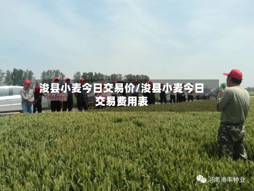 浚县小麦今日交易价/浚县小麦今日交易费用表