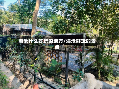 海沧什么好玩的地方/海沧好玩的景点-第3张图片