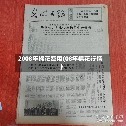 2008年棉花费用(08年棉花行情)