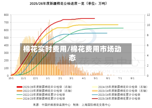 棉花实时费用/棉花费用市场动态