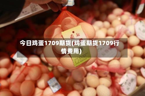 今日鸡蛋1709期货(鸡蛋期货1709行情费用)