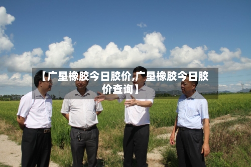 【广垦橡胶今日胶价,广垦橡胶今日胶价查询】-第2张图片