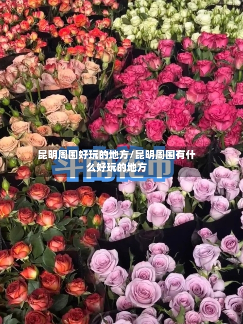昆明周围好玩的地方/昆明周围有什么好玩的地方-第3张图片