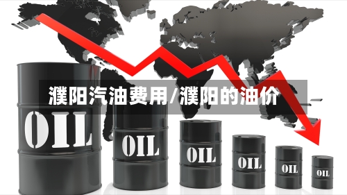 濮阳汽油费用/濮阳的油价