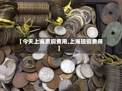 【今天上海费铜费用,上海现铜费用】