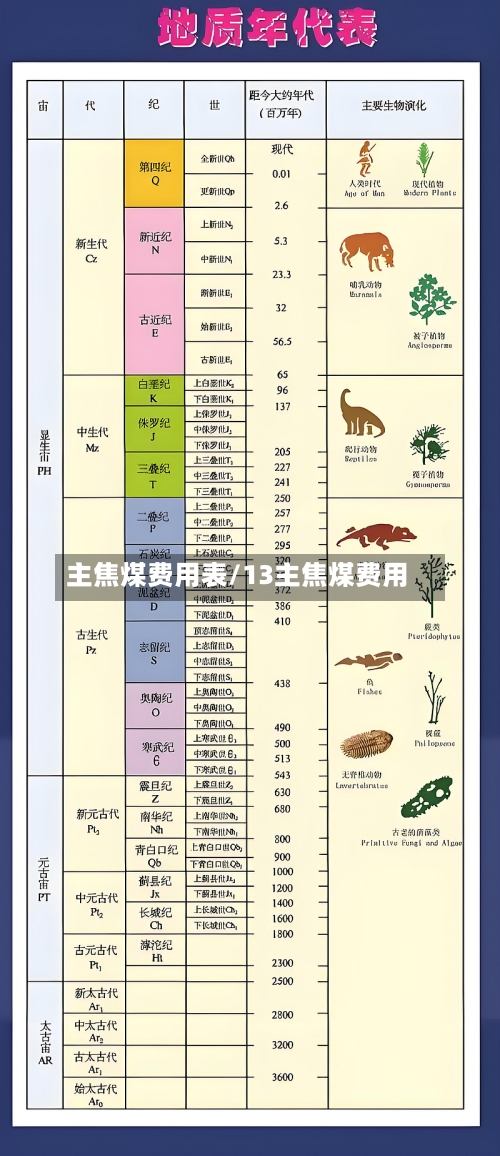主焦煤费用表/13主焦煤费用