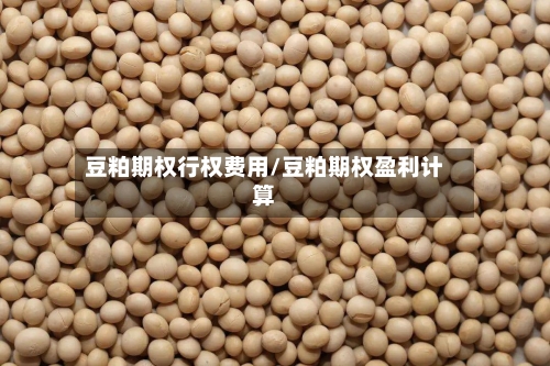 豆粕期权行权费用/豆粕期权盈利计算-第2张图片