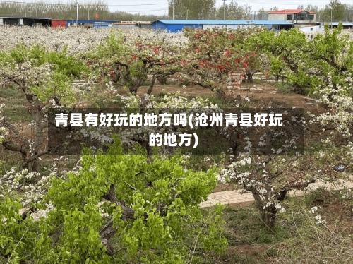 青县有好玩的地方吗(沧州青县好玩的地方)