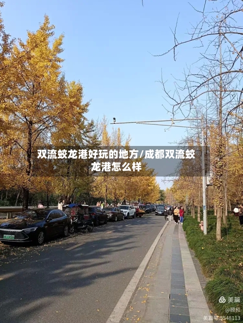 双流蛟龙港好玩的地方/成都双流蛟龙港怎么样