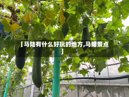 【马陆有什么好玩的地方,马陆景点】-第3张图片