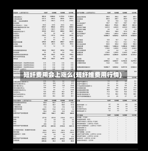 短纤费用会上涨么(短纤维费用行情)