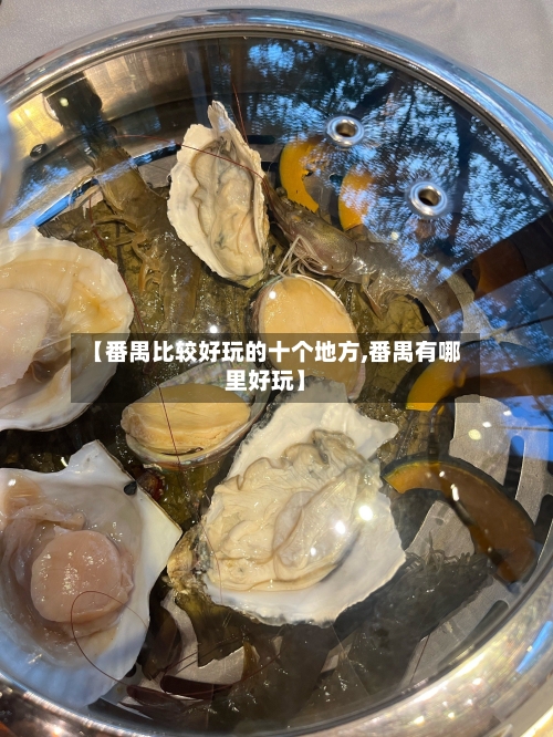 【番禺比较好玩的十个地方,番禺有哪里好玩】