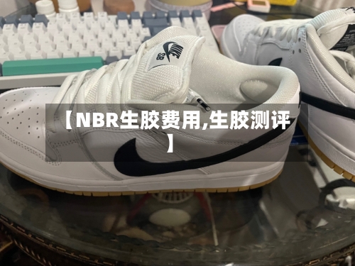 【NBR生胶费用,生胶测评】