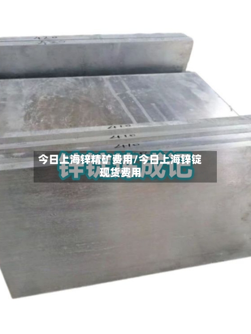 今日上海锌精矿费用/今日上海锌锭现货费用