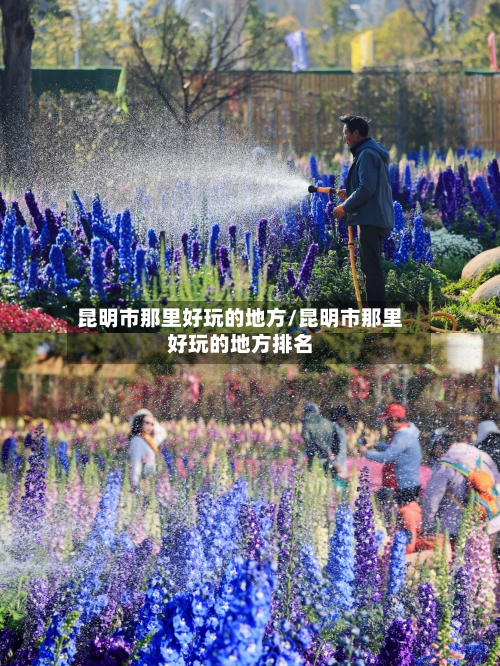 昆明市那里好玩的地方/昆明市那里好玩的地方排名-第2张图片