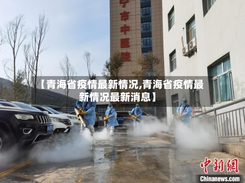 【青海省疫情最新情况,青海省疫情最新情况最新消息】