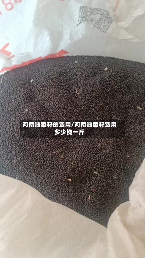 河南油菜籽的费用/河南油菜籽费用多少钱一斤-第3张图片