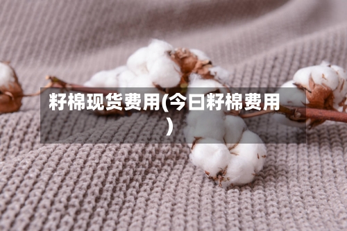籽棉现货费用(今曰籽棉费用)-第2张图片
