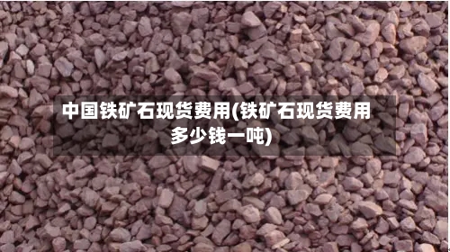 中国铁矿石现货费用(铁矿石现货费用多少钱一吨)