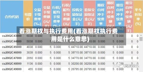 看涨期权与执行费用(看涨期权执行费用是什么意思)