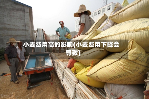 小麦费用高的影响(小麦费用下降会导致)