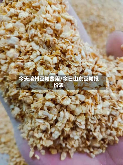 今天滨州豆粕费用/今日山东豆粕报价表