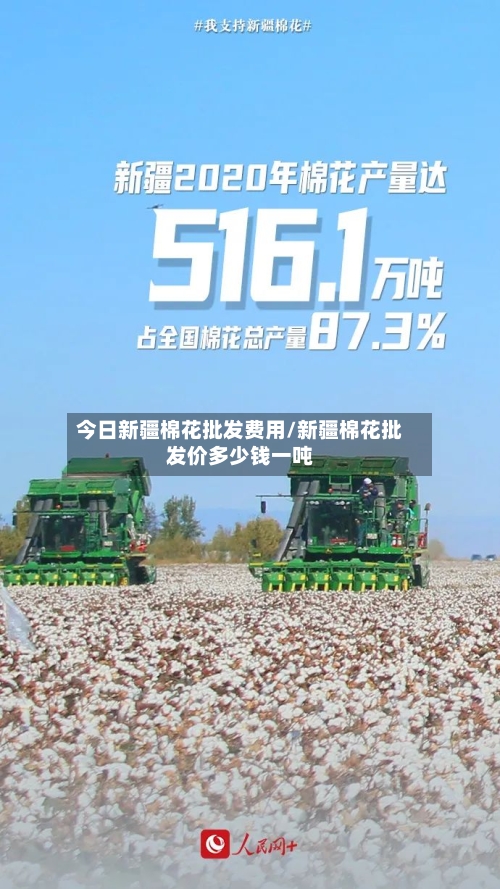 今日新疆棉花批发费用/新疆棉花批发价多少钱一吨