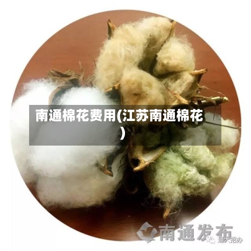 南通棉花费用(江苏南通棉花)-第3张图片