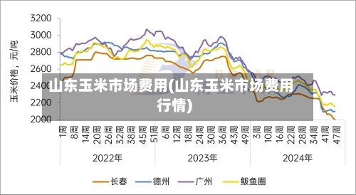 山东玉米市场费用(山东玉米市场费用行情)-第2张图片