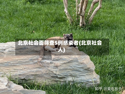 北京社会面筛查5例感染者(北京社会人)-第2张图片