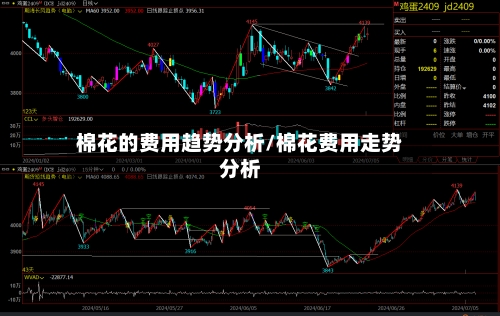 棉花的费用趋势分析/棉花费用走势分析