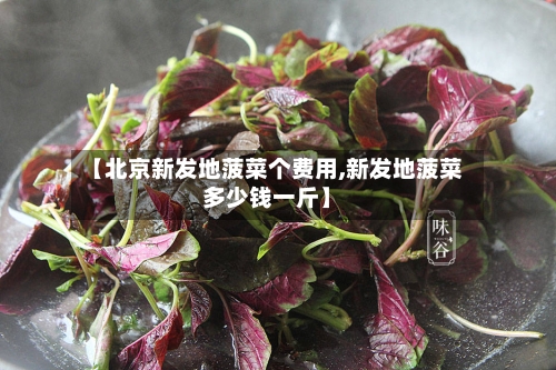 【北京新发地菠菜个费用,新发地菠菜多少钱一斤】