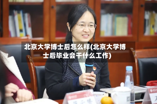 北京大学博士后怎么样(北京大学博士后毕业会干什么工作)