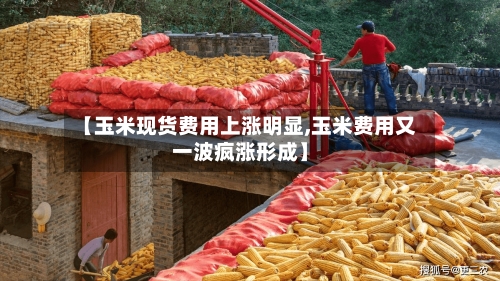 【玉米现货费用上涨明显,玉米费用又一波疯涨形成】-第2张图片