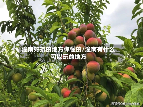 潼南好玩的地方你懂的/潼南有什么可以玩的地方-第3张图片