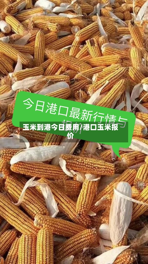 玉米到港今日费用/港口玉米报价-第2张图片