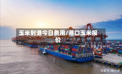 玉米到港今日费用/港口玉米报价-第3张图片