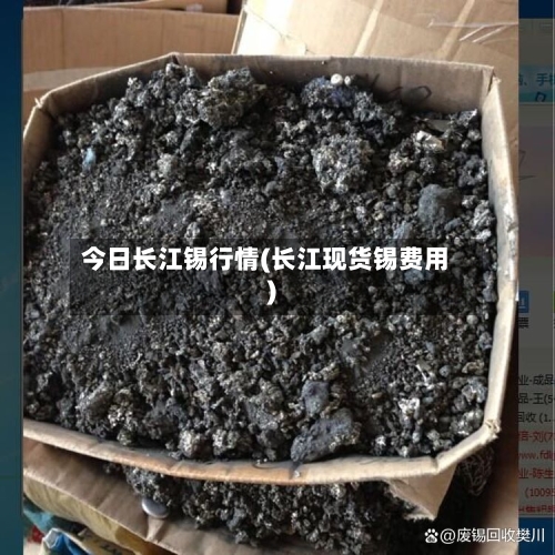 今日长江锡行情(长江现货锡费用)