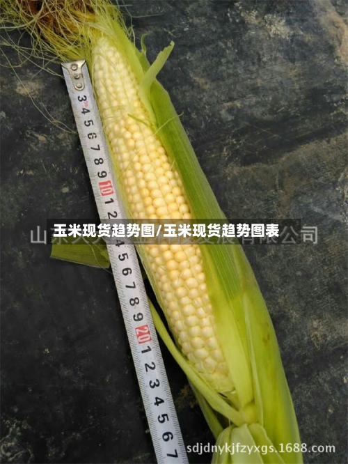 玉米现货趋势图/玉米现货趋势图表-第3张图片