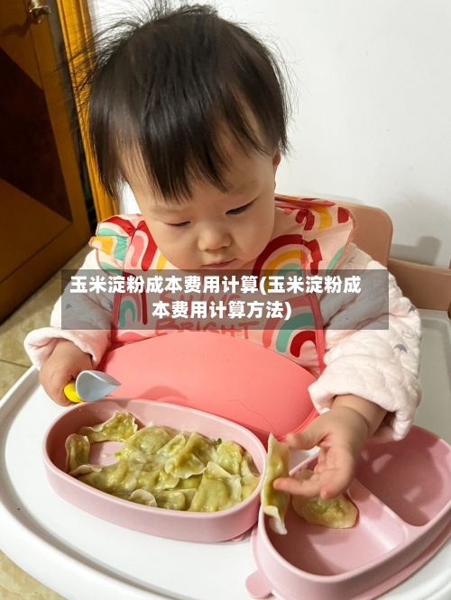 玉米淀粉成本费用计算(玉米淀粉成本费用计算方法)